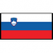 Learn Slovene at P&R Languages