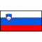 Learn Slovene at P&R Languages